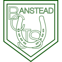 Banstead Community Junior School logo