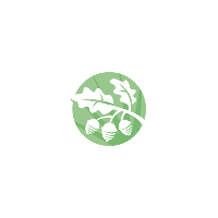 Bilton Community Primary School logo