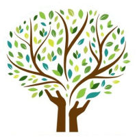 Cambridge Muslim Secondary School logo